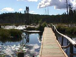 Boardwalk